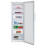 Congelador Vertical Beko RFNE290L41WN